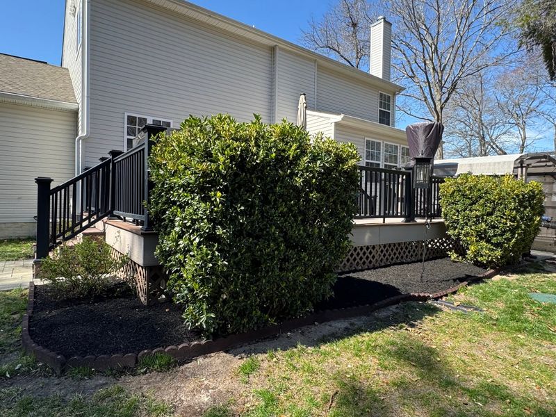 Shrub Trimming