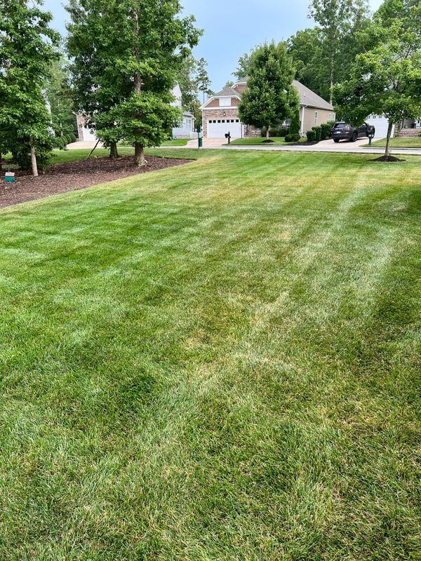 Landscaping