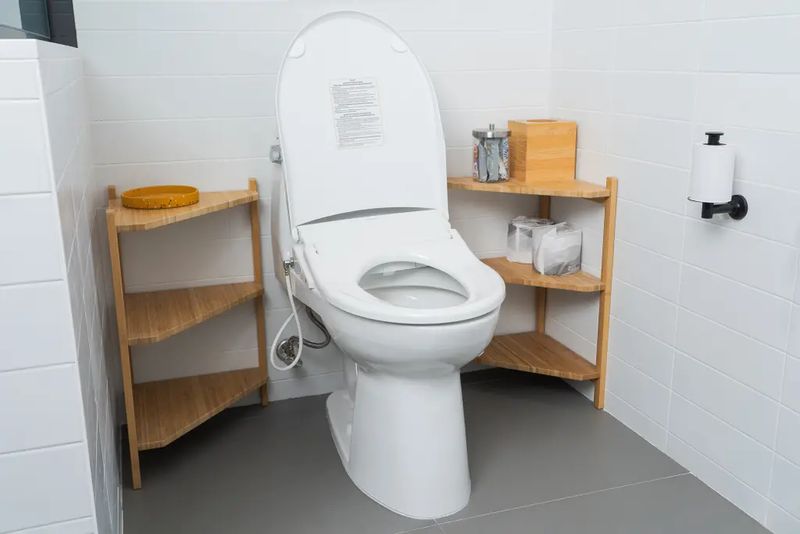 Toilet Repairs and Installation