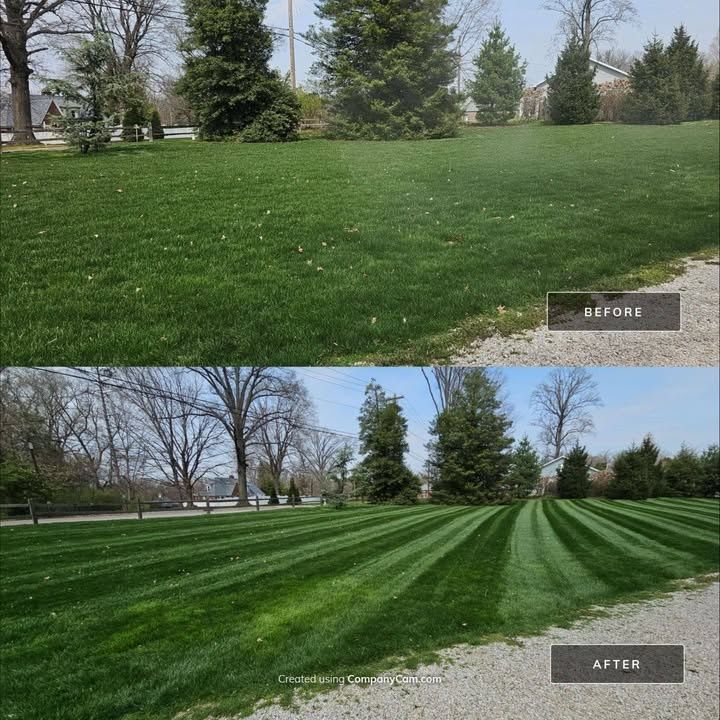 Lawn Maintenance Service