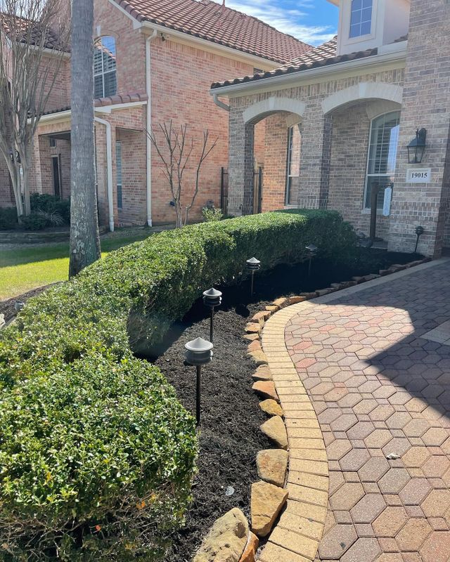 Lawn Care & Maintenance