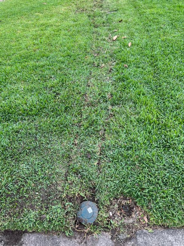 Lawn Care
