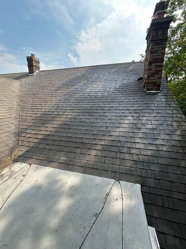 Roof Cleaning