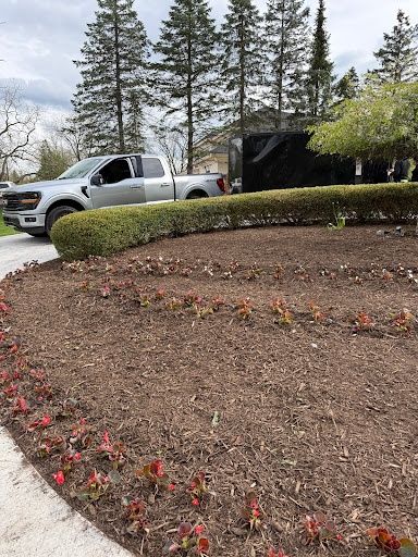 Shrub Trimming