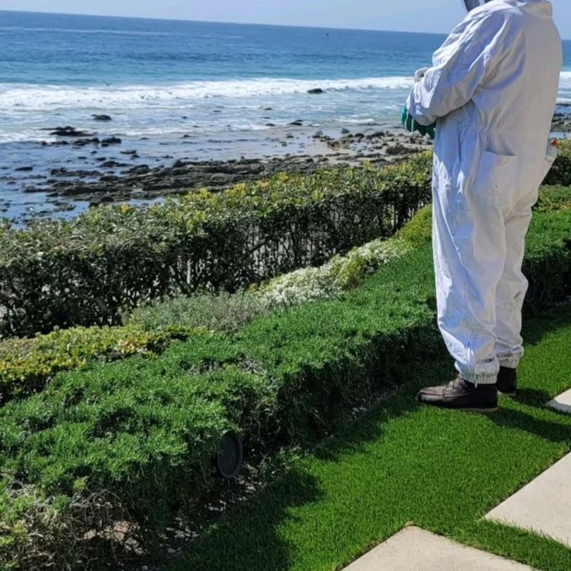 Residential Pest Control