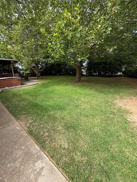 Lawn Maintenance