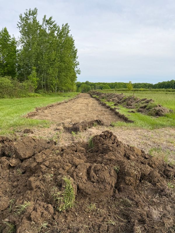 Site prep and grading