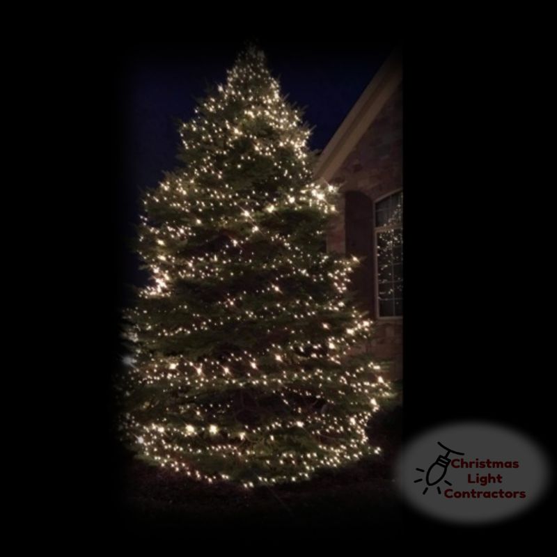 Christmas Tree Light Installation