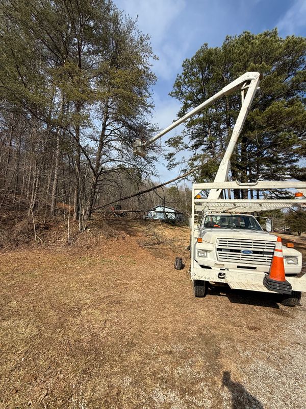 Tree Trimming