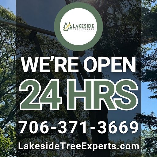 Tree Trimming