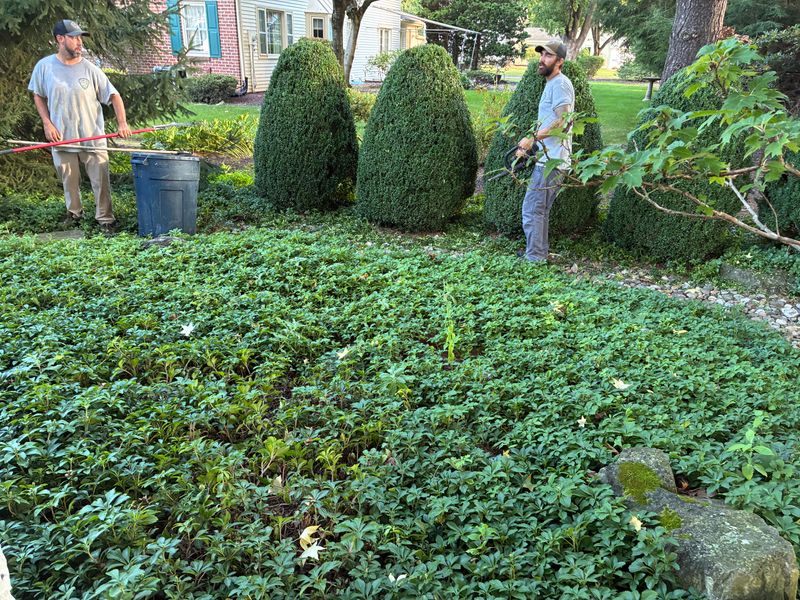 Landscape Design & Installation