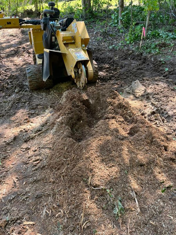 Stump Grinding and Removal
