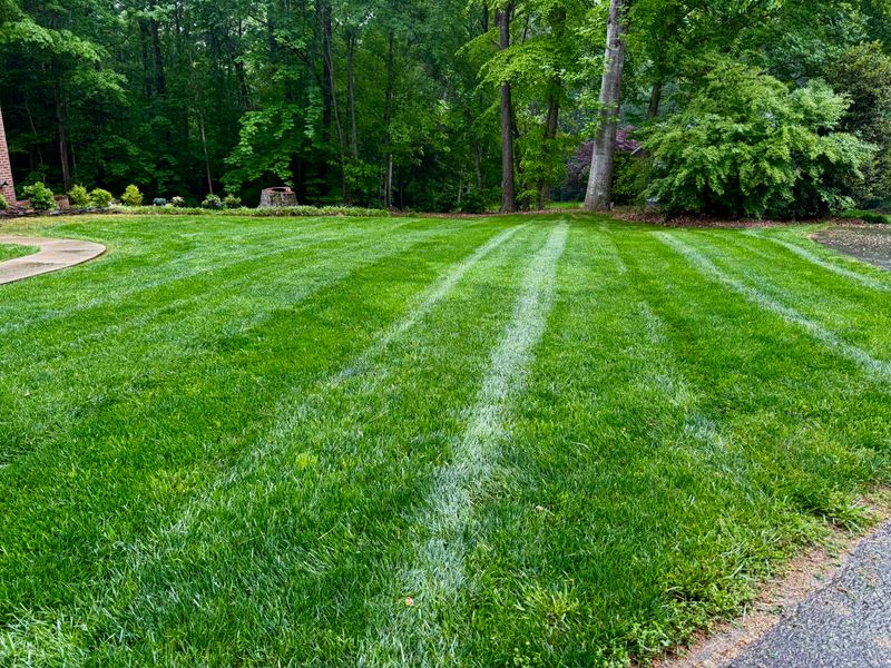 Lawn Care
