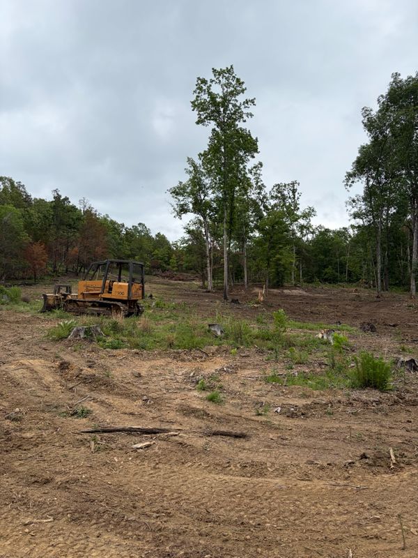 Land Clearing