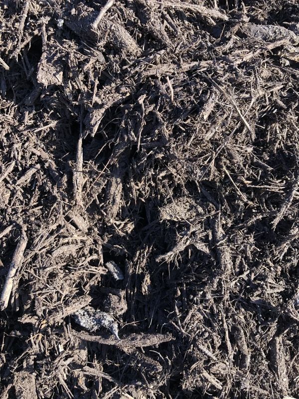 mulch