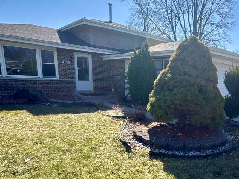 Tree and Shrub Care