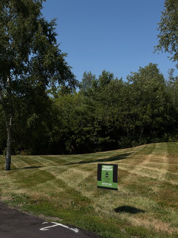 Lawn Maintenance
