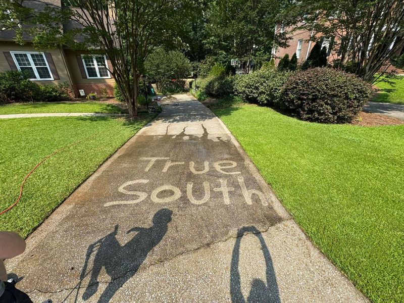 Landscape Design & Installation