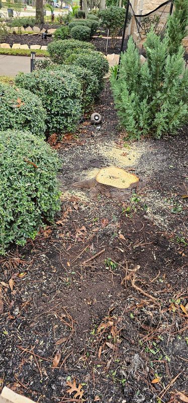 Stump Removal