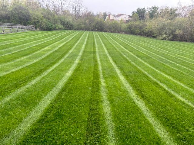 Our Mowing