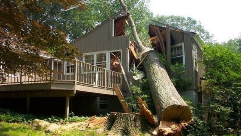 Emergency Storm Services