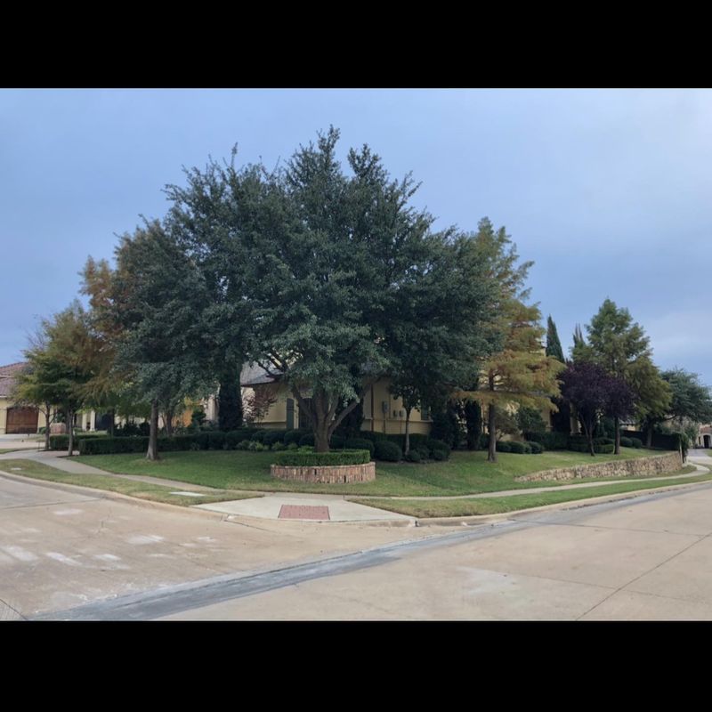 Hardscaping Landscaping
