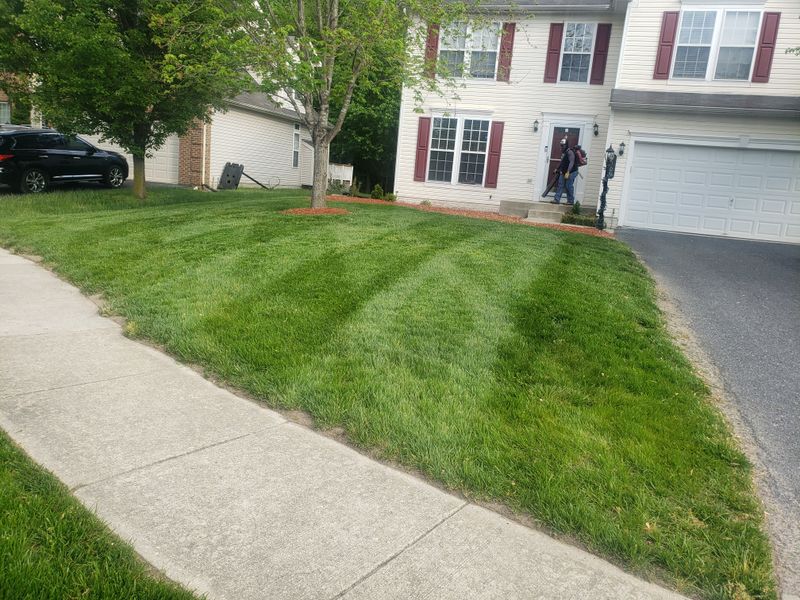 Lawn Maintenance