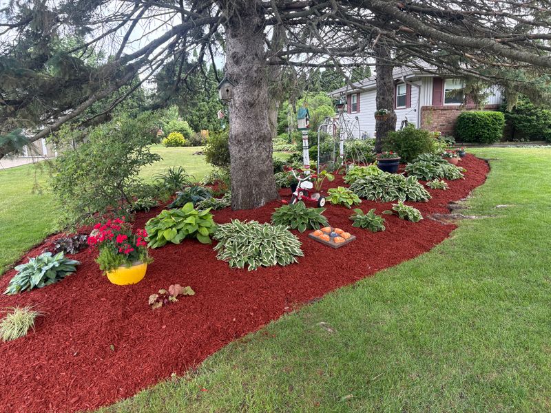 Landscape Design & Planning