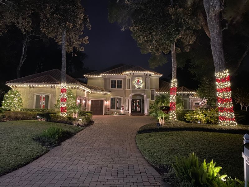 Christmas Light Installation