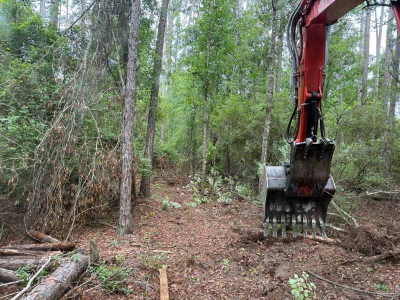 Land Clearing