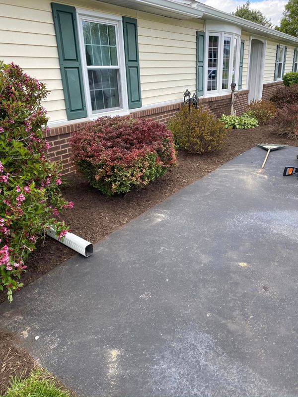 Shrub Trimming