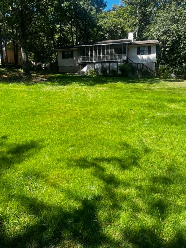 Lawn Maintenance