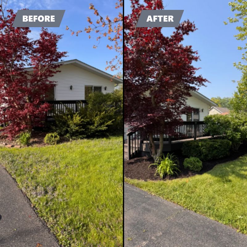 Before & After