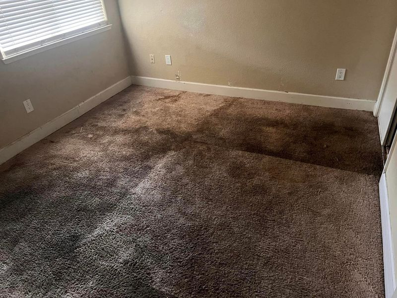 Mold Inspections