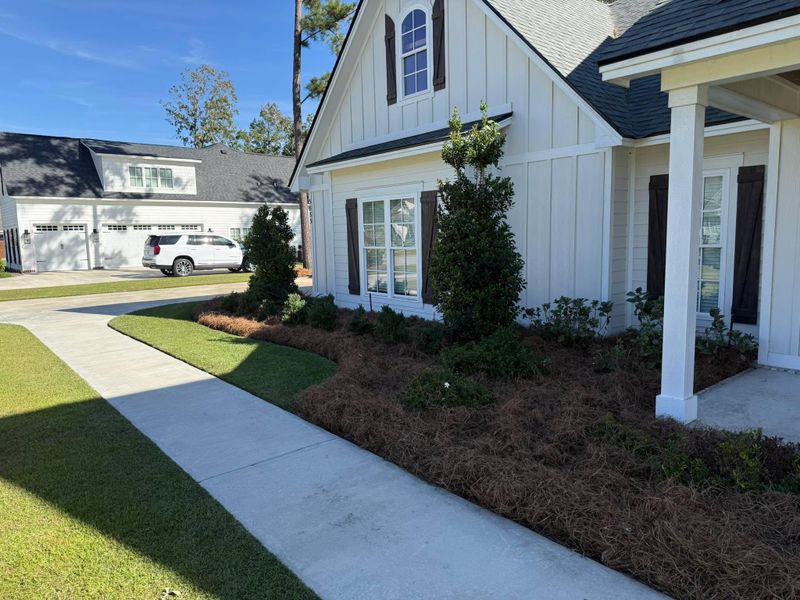 Shrub Trimming