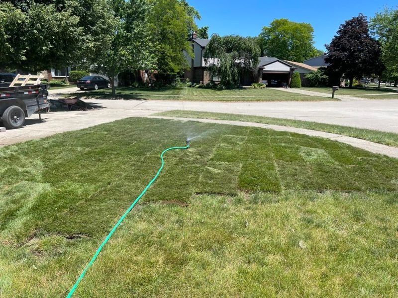 Landscape Design
