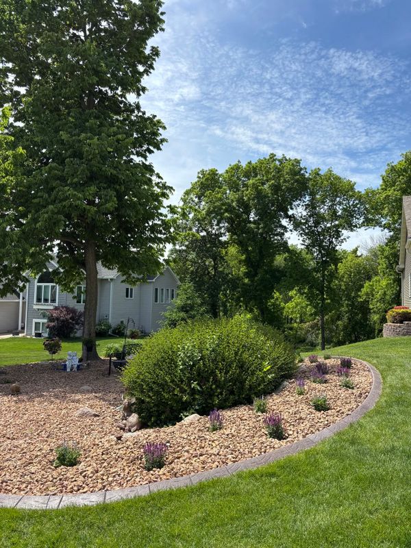 Landscape Design & Installation