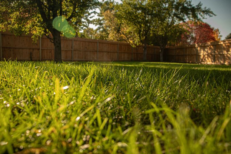 Weed Control