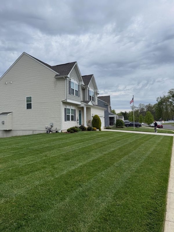 Lawn Care & Maintenance