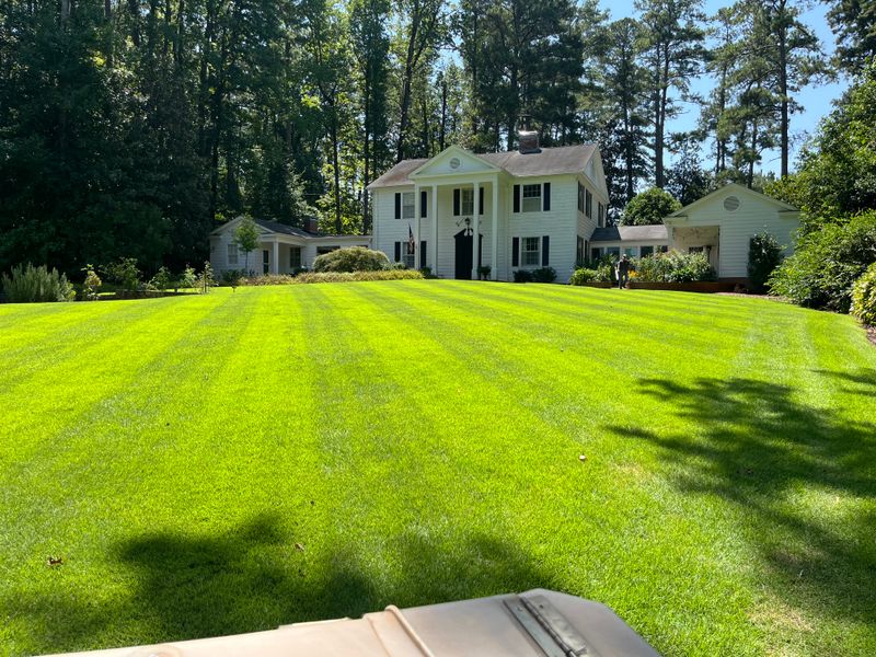 Lawn Care & Maintenance
