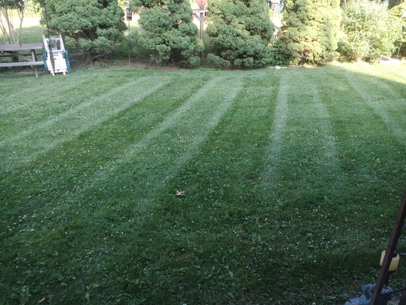 Lawn Maintenance
