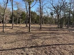 Land Clearing