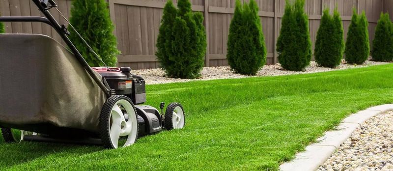 Lawn Care gallery