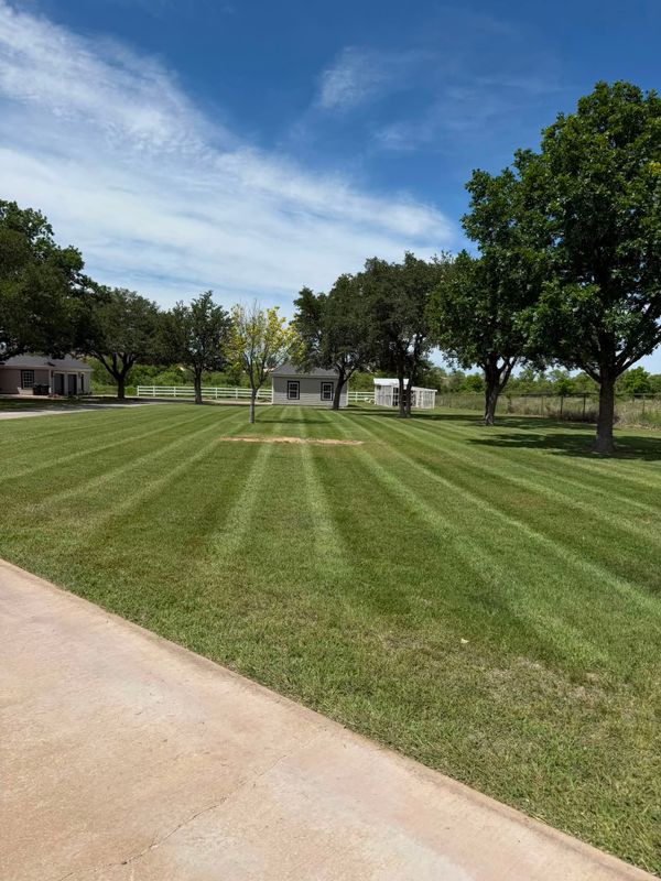 Lawn Maintenance