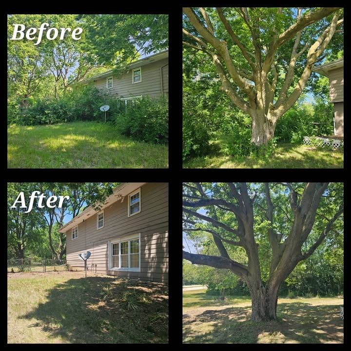Yard Cleanup