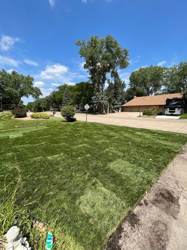 Sod Installation