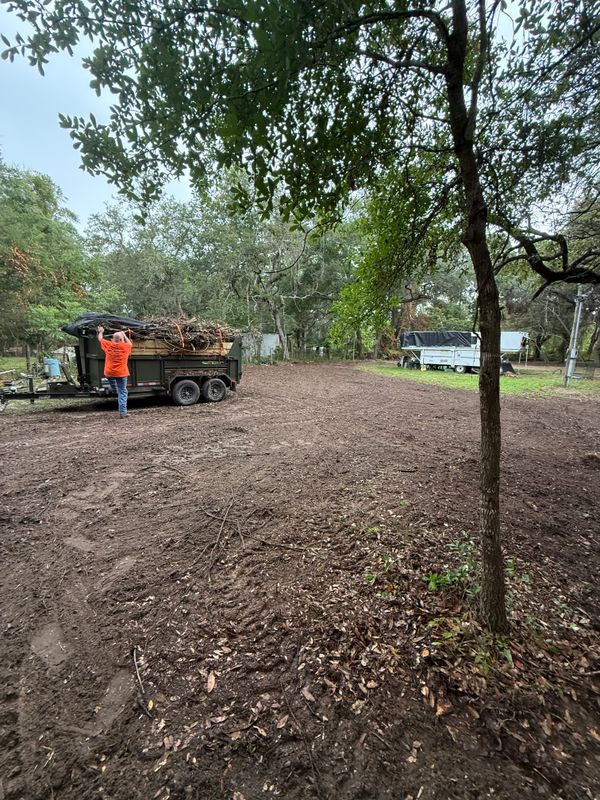 Yard Waste Removal