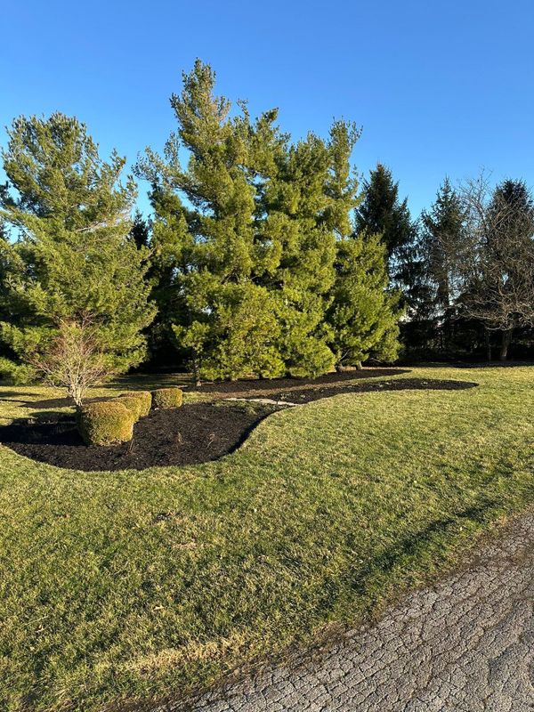 Landscape design