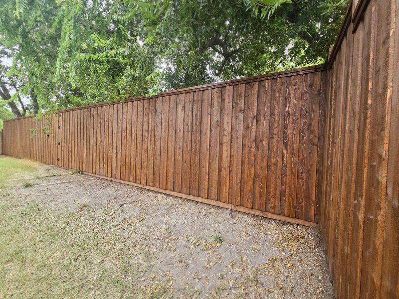 Fence Staining & Sealing