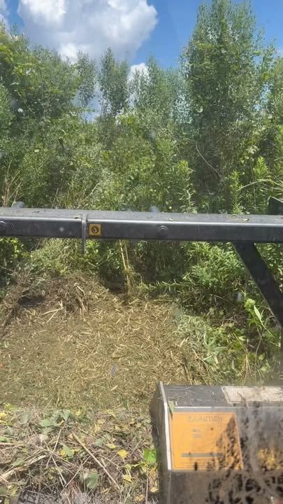Forestry Mulching